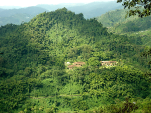 Reserva Forestal