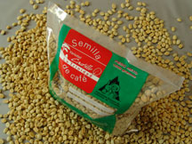 <p>Semilla mejorada</p> <p>Semilla mejorada</p>