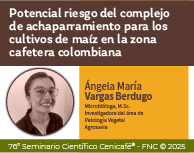 - Clic para ampliar  - Clic para ampliar