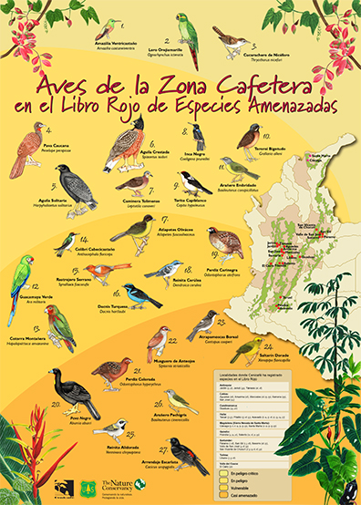<p>Aves de la zona cafetera en el libro rojo de especies amenazadas</p>