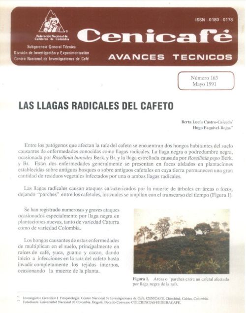 <p>(avt0163)Las llagas radicales del cafeto. (avt0163)</p>