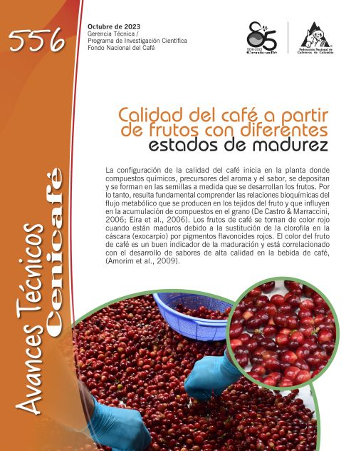 <p>Portada</p>