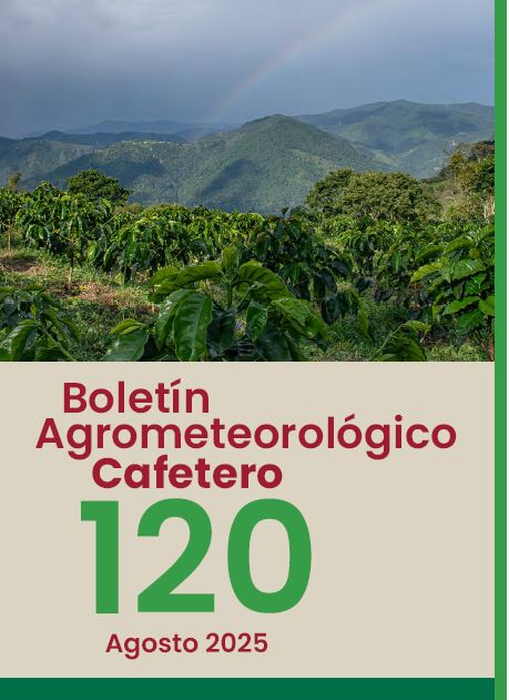 <p>Portada</p>