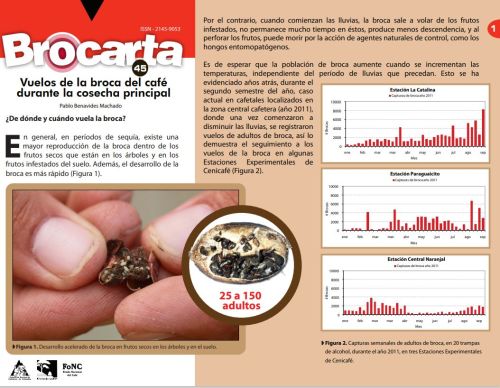 <p>Brocarta 045: Vuelos de la broca del café durante la cosecha principal.</p>