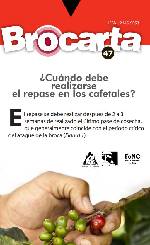 <p>Brocarta 047: ¿Cuándo debe realizarse el repase en los cafetales?</p>