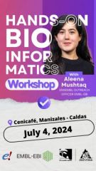  - Clic para ampliar