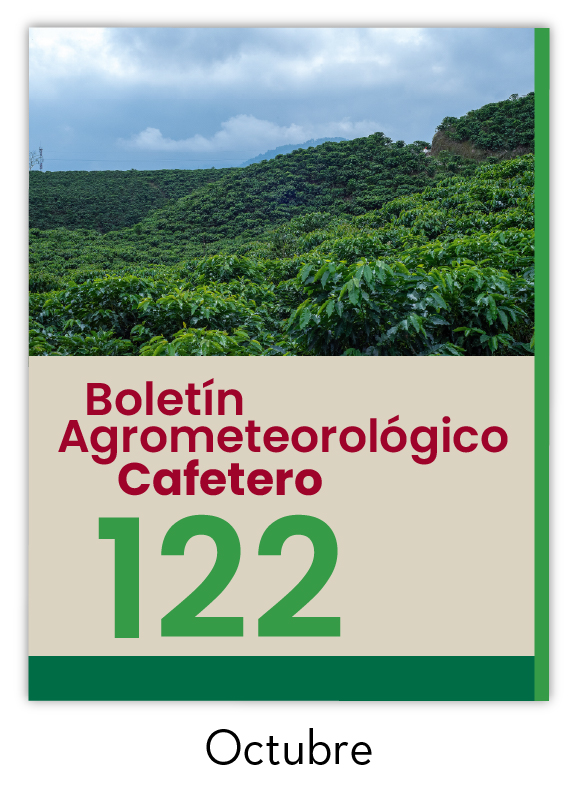 <p>Portada</p> <p>Portada</p>