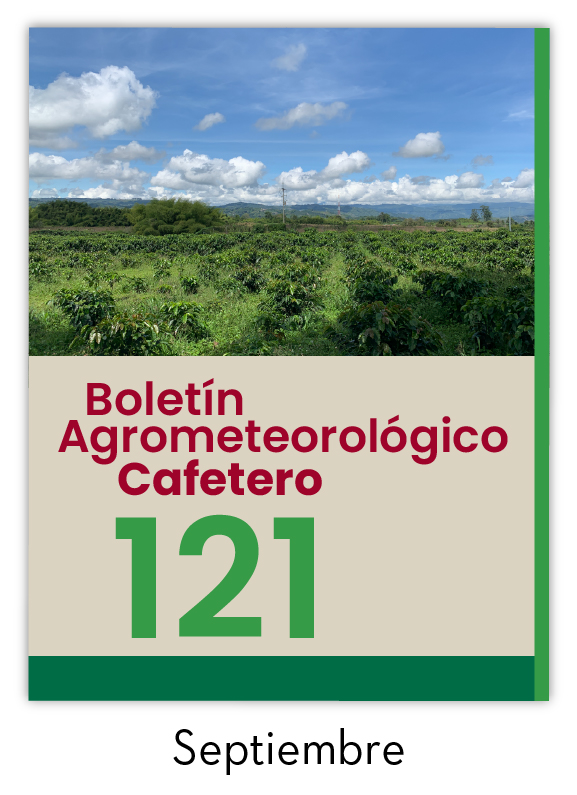 <p>Portada</p>