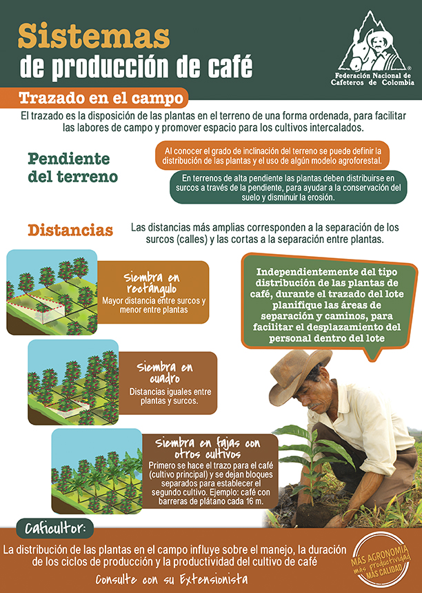 <p>Sistemas de producción de café. Trazado en el campo.</p>