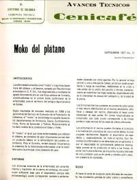 <p>(avt0011)Moko del plátano. (avt0011)</p>