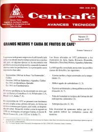 <p>(avt0021)Granos negros y caída de frutos de café. (avt0021)</p> <p>(avt0021)Granos negros y caída de frutos de café. (avt0021)</p>