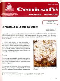 <p>(avt0029)La palomilla del cafeto. (avt0029)</p> <p>(avt0029)La palomilla del cafeto. (avt0029)</p>
