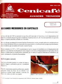 <p>(avt0033)Gusanos medidores en cafetales. (avt0033)</p>