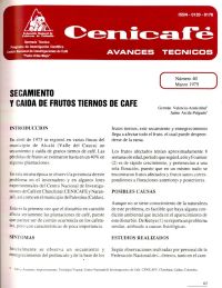 <p>(avt0040)Secamiento y caída de frutos tiernos de café. (avt0040)</p>