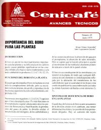 <p>(avt0043)Importancia del Boro para las plantas. (avt0043)</p>