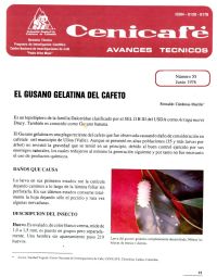 <p>(avt0055)El gusano gelatina del cafeto Lepidótera: Dalceridae /Acraga moorei/. (avt0055)</p>