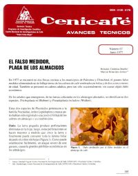 <p>(avt0067)El falso medidor; plaga de los almácigos. (avt0067)</p> <p>(avt0067)El falso medidor; plaga de los almácigos. (avt0067)</p>