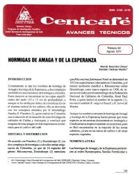 <p>(avt0069)Hormigas de Amagá y de la Esperanza. (avt0069)</p>