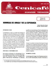 <p>(avt0069)Hormigas de Amagá y de la Esperanza. (avt0069)</p> <p>(avt0069)Hormigas de Amagá y de la Esperanza. (avt0069)</p>