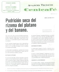 <p>(avt0077)Pudrición seca del rizoma del plátano y del banano. (avt0077)</p> <p>(avt0077)Pudrición seca del rizoma del plátano y del banano. (avt0077)</p>