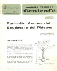 <p>(avt0119)Pudrición acuosa del seudotallo del plátano. (avt0119)</p> <p>(avt0119)Pudrición acuosa del seudotallo del plátano. (avt0119)</p>