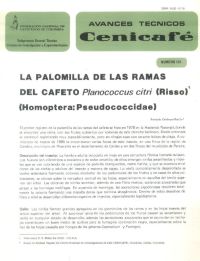 <p>(avt0125)La palomilla de las ramas del cafeto /Planococcus citri/ Risso. Homoptera: Pseudococcidae. (avt0125)</p>
