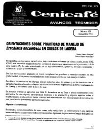 <p>(avt0128)Orientaciones sobre prácticas de manejo de /Brachiaria decumbens/ en suelos de ladera. (avt0128)</p> <p>(avt0128)Orientaciones sobre prácticas de manejo de /Brachiaria decumbens/ en suelos de ladera. (avt0128)</p>