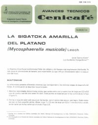 <p>(avt0129)La sigatoka amarilla del plátano /Mycosphaerella musicola/ Leach. (avt0129)</p> <p>(avt0129)La sigatoka amarilla del plátano /Mycosphaerella musicola/ Leach. (avt0129)</p>