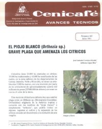 <p>(avt0165)El Piojo Blanco /Orthezia/ sp. grave plaga que amenaza los cítricos. (avt0165)</p> <p>(avt0165)El Piojo Blanco /Orthezia/ sp. grave plaga que amenaza los cítricos. (avt0165)</p>