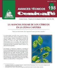 <p>(avt0198)La mancha foliar de los cítricos en la zona cafetera. (avt0198)</p> <p>(avt0198)La mancha foliar de los cítricos en la zona cafetera. (avt0198)</p>