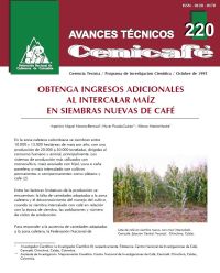 <p>(avt0220)Obtenga ingresos adicionales al intercalar maíz en siembras nuevas de café. (avt0220)</p> <p>(avt0220)Obtenga ingresos adicionales al intercalar maíz en siembras nuevas de café. (avt0220)</p>