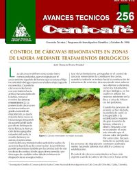 <p>(avt0256)Control de cárcavas remontantes en zonas de ladera mediante tratamientos biológicos. (avt0256)</p> <p>(avt0256)Control de cárcavas remontantes en zonas de ladera mediante tratamientos biológicos. (avt0256)</p>
