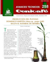 <p>(avt0258)Producción de Plátano Dominico Harton (/Musa/ sp. grupo AAB) según el material de siembra. (avt0258)</p> <p>(avt0258)Producción de Plátano Dominico Harton (/Musa/ sp. grupo AAB) según el material de siembra. (avt0258)</p>