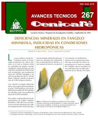 <p>(avt0267)Deficiencias minerales en tangelo Minneola, inducidas en condiciones hidropónicas. (avt0267)</p> <p>(avt0267)Deficiencias minerales en tangelo Minneola, inducidas en condiciones hidropónicas. (avt0267)</p>