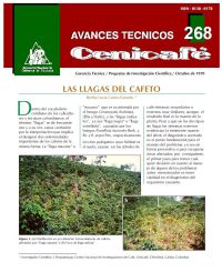 <p>(avt0268)Las llagas del cafeto. (avt0268)</p> <p>(avt0268)Las llagas del cafeto. (avt0268)</p>