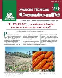 <p>(avt0275)‘El colorao’, un maíz para intercalar con zocas y nuevas siembras de café. (avt0275)</p> <p>(avt0275)‘El colorao’, un maíz para intercalar con zocas y nuevas siembras de café. (avt0275)</p>