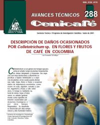 <p>(avt0288)Descripción de daños ocasionados por /Colletotrichum/ sp. en flores y frutos de café en Colombia. (avt0288)</p> <p>(avt0288)Descripción de daños ocasionados por /Colletotrichum/ sp. en flores y frutos de café en Colombia. (avt0288)</p>