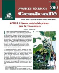 <p>(avt0290)Africa 1; nueva variedad de plátano para la zona cafetera. (avt0290)</p> <p>(avt0290)Africa 1; nueva variedad de plátano para la zona cafetera. (avt0290)</p>