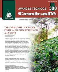 <p>(avt0300)Tabi: variedad de café de porte alto con resistencia a la roya. (avt0300)</p>