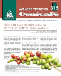 <p>(avt0315)Escala de maduración para los frutos del cafeto /Coffea arabica/ L. (avt0315)</p> <p>(avt0315)Escala de maduración para los frutos del cafeto /Coffea arabica/ L. (avt0315)</p>