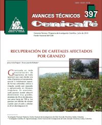 <p>(avt0397)Recuperación de cafetales afectados por granizo. (avt0397)</p> <p>(avt0397)Recuperación de cafetales afectados por granizo. (avt0397)</p>