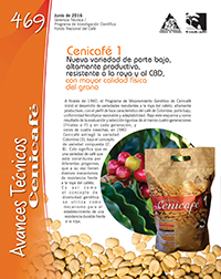 <p>(avt0469)Cenicafé 1: Nueva variedad de porte bajo. (avt0469)</p> <p>(avt0469)Cenicafé 1: Nueva variedad de porte bajo. (avt0469)</p>