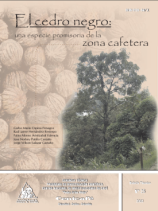 <p>(bot025)El cedro negro: una especie promisoria en la zona cafetera.</p>