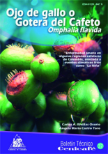 <p>(bot037)Ojo de gallo o gotera del cafeto Omphalia flavida</p> <p>(bot037)Ojo de gallo o gotera del cafeto Omphalia flavida</p>