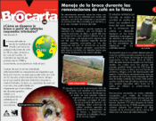 <p>Portada Brocarta 038</p> <p>Portada Brocarta 038</p>