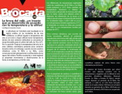<p>Portada Brocarta 039</p> <p>Portada Brocarta 039</p>
