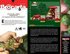 <p>Portada brocarta 047</p> <p>Portada brocarta 047</p>