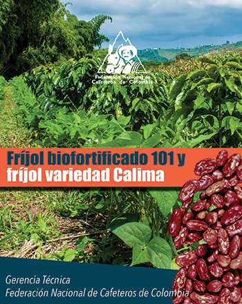 <p>Fríjol biofortificado 101 y fríjol variedad Calima</p>