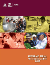 <p>Informe anual Cenicafé 2017</p>