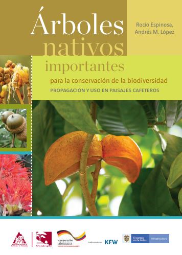 <p>Árboles nativos importantes para la conservación de la biodiversidad</p>